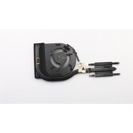 CT470 Fan Uma Delta