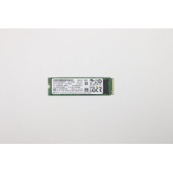256GB M.2 PCIe NVMe