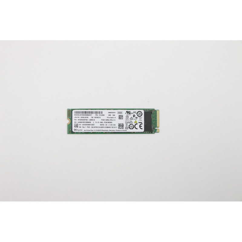 256GB M.2 PCIe NVMe