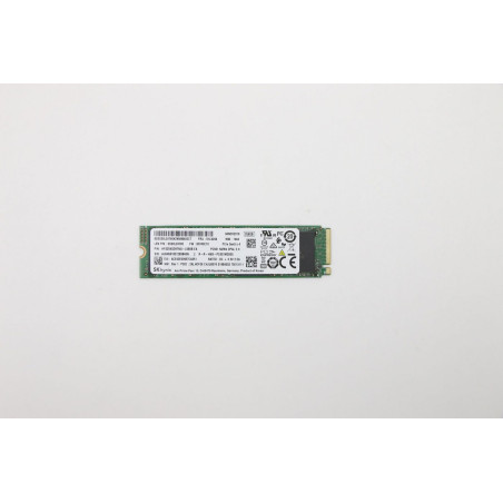 256GB M.2 PCIe NVMe