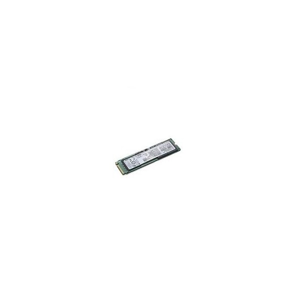 lenovo-thinkstation-256gb-m-2-solid-state-drive-1.jpg