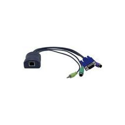 PS2 access module with audio