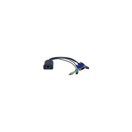 USB access module with audio