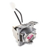 RLC-119, Replacement Lamp