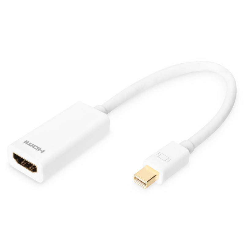 DisplayPort adapter cable,