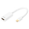 DisplayPort adapter cable,