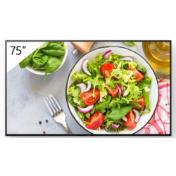 75" Pro BRAVIA LCD 550nit