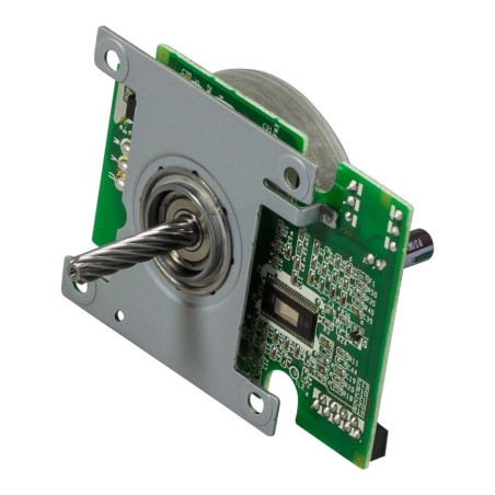 Brushless Motor