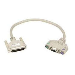 User Cable With Audio 10FT | APLIUM