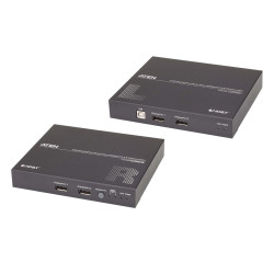 USB DisplayPort Dual View