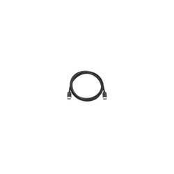 HP Display Port Cable 2 mtr