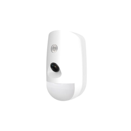 Wireless PIR-Camera Detector,