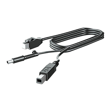 300CM DP+USB PWR CABLE