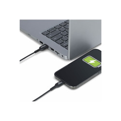 Cable Cargador Usb-a A Usb-c De 4M - Usb-a A USB Tipo C | APLIUM