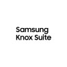 Knox Suite Enterprise Plan - Licencia de suscripción (2 años) - 1 usua