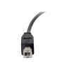 C2G 6ft USB 2.0 USB-C to USB-B Cable M/M - Black - Cable USB - USB Tip