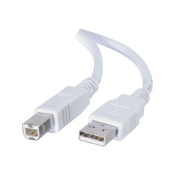 C2G 6.6ft USB to USB B Cable - USB A to USB B - USB 2.0 - White - M/M