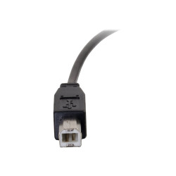 C2G 3ft USB C to USB B Cable - USB C 2.0 to USB B - M/M - Cable USB -