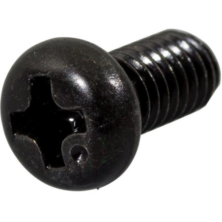 SCREW +P 4X8 (BZN)
