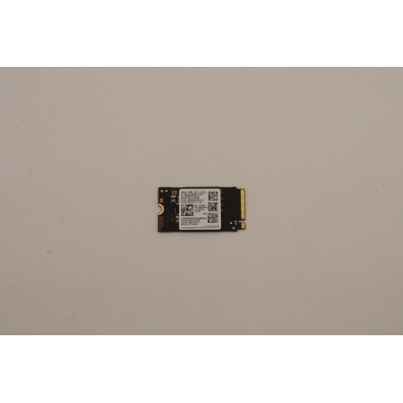 256GB M.2 2242 PCIe NVMe SSD