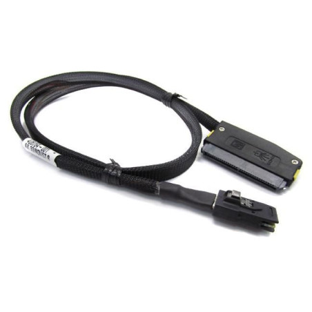 Cable Int mini 31 inch.