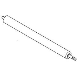 Transfer Roller