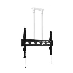 Extra-Large Universal Flat | APLIUM