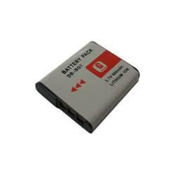 Battery for Digital Camera