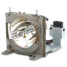 Projector Lamp for LG