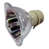 Projector Bulb for Samsung