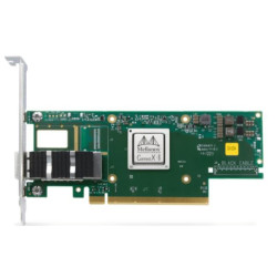 Network Card Internal
