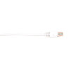 BBXCONN CAT6 PATCH CBL-UTP