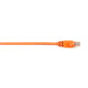 BBXCONN CAT6 PATCH CBL-UTP