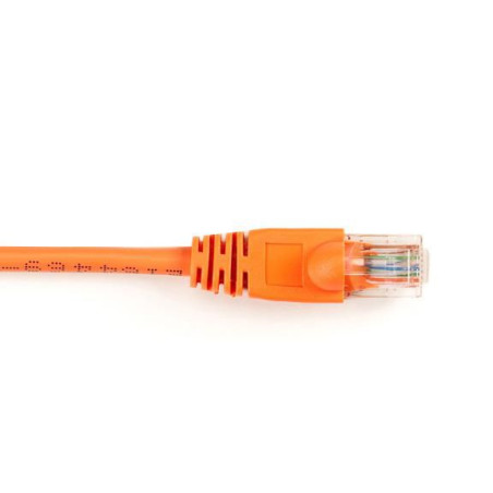 BBXCONN CAT6 PATCH CBL-UTP