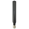 ANT-WDB-ANM-0502