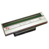 Thermal Printhead 203 dpi - 6" | APLIUM