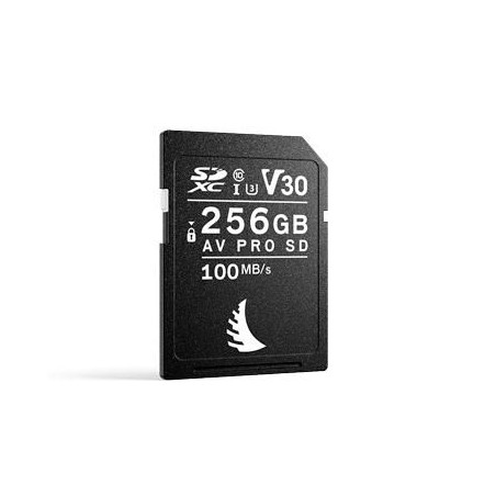 Av Pro Sd V30 256 Gb Sdxc