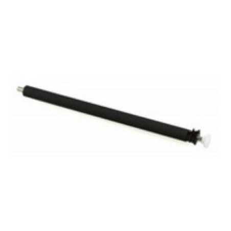 Transfer Roller
