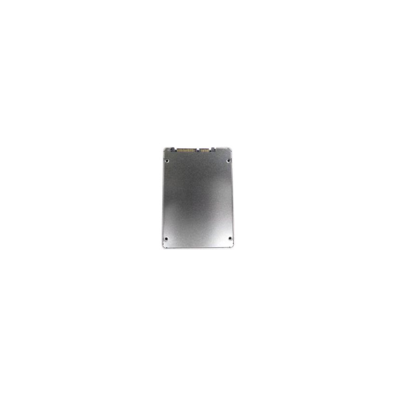 480GB SSD 2.5 SATA 6G RI