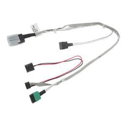RAIDCARD CABLE 3.5'