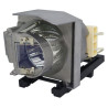 Projector Lamp for MIMIO