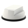 Panorama Antennas Great White L[G]M[H]M-6-60 - Antena - cúpu | APLIUM