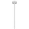 Ceiling Mount, Aluminum,