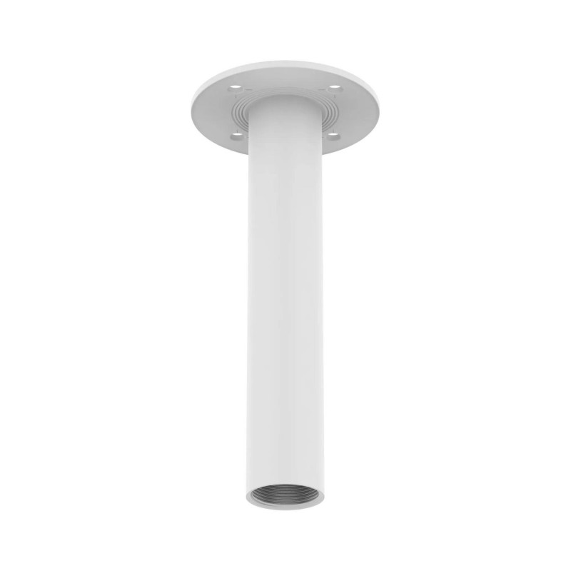 Ceiling Mount, Aluminum,
