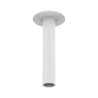 Ceiling Mount, Aluminum,