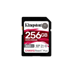 Canvas React Plus 256 Gb Sd