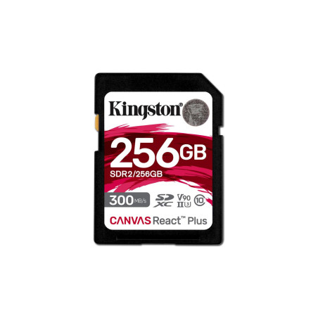 Canvas React Plus 256 Gb Sd