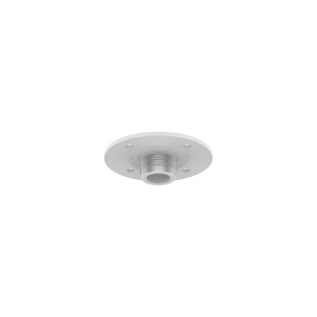Ceiling Mount, Aluminum,