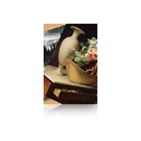 Prem Luster Photo Paper 60" x 30.5 m 260