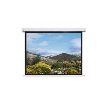 Screen Surface Assembly